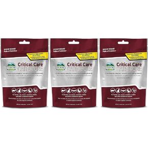 Oxbow 3 Pack of Critical Care Carnivore, 2.47 Ounces Each, Support Supplement for Small Pets in Kuwait