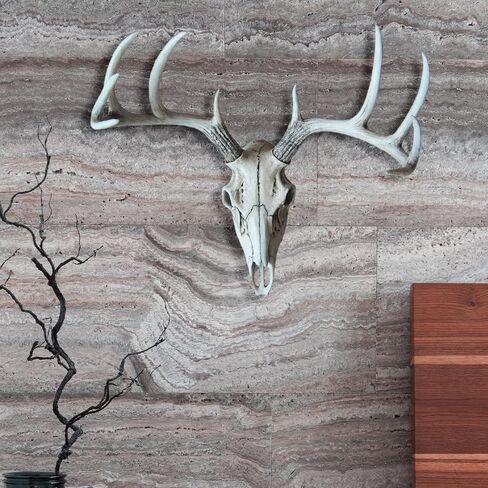 DWK "Weathered Glory" Faux Taxidermy Hanging Wall Mounted Deer Head Skull | Rustic Farmhouse Decor | Mancave Wall Decor | Gifts for Hunters | Wall Hanging Decorations - 18L" in Saudi Arabia