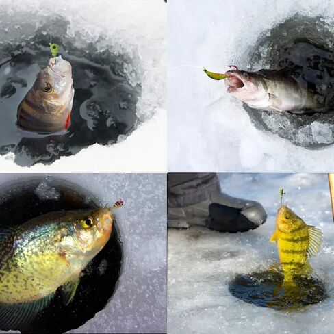 مجموعة أدوات صيد الأسماك من Bombite Ice، طُعم صيد الجليد المتوهج، صيد الأسماك في الشتاء الصلب، صيد الجليد، صيد الكرابي، أدوات صيد الأسماك على الجليد 30 قطعة/50 قطعة in Kuwait