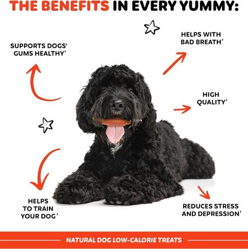 Wootsy Chicken Jerky Dog Treats - Rawhide Free Dental Health Support Dog Snacks - Real Chicken - Grain Free, Low-Calorie, High-Protein, Canine Chews, 16 Sticks per Pack in Kuwait