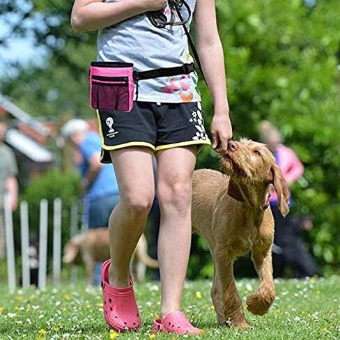 4-in-1 Dog Training Set, Puppy Training Treats- Dog Treat Training Pouch, Dog Whistle, Dog Doorbells, Dog Clicker, Ideal Gift for First Time Pet Owners, Training Dog Owners (Black) in Saudi Arabia