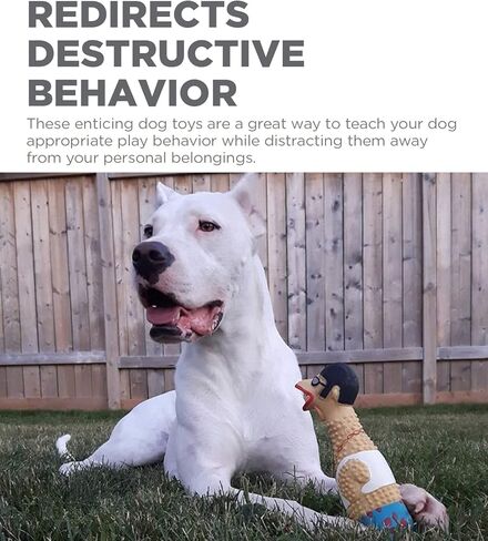 Charming Pet Squawkers Holiday Earl Latex Rubber Chicken Interactive Dog Toy, Large in Kuwait