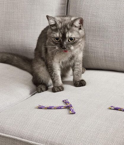 ألعاب القطط من Catstages Nighttime Catnip Rolls - 3 عبوات in Kuwait