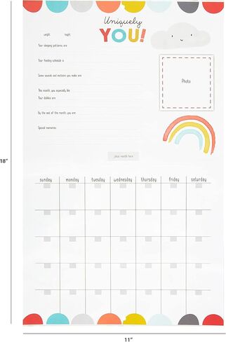 C.R. Gibson BA3-24545 You are My Sunshine Gender Neutral Baby's First Year Keepsake Calendar, 11" W x 18" H Open, Multicolor in Saudi Arabia