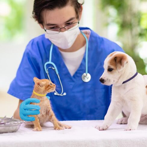 67 Pcs Puppy Kitten Whelping Supplies Kit for Puppies Birth, Newborn Pet Whelping Kit Includes Collars Feeding Nipple Bottle Record Keeping Charts Bulb Aspirator Cord Clamp Scissor Stethoscope Gloves in Saudi Arabia