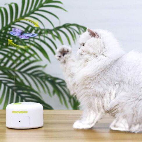 ALL FOR PAWS، بدائل رفرفة الفراشة التفاعلية للقطط لألعاب كيتي إثراء الدوار، إعادة الملء - 6 عبوات in Kuwait