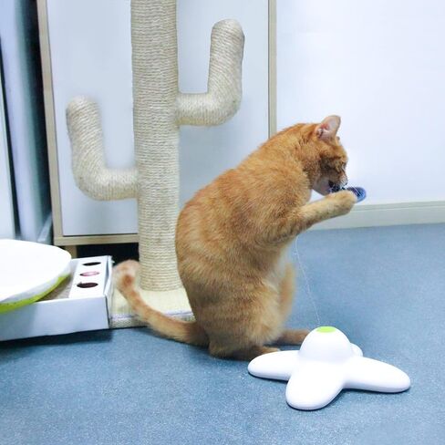 ALL FOR PAWS، بدائل رفرفة الفراشة التفاعلية للقطط لألعاب كيتي إثراء الدوار، إعادة الملء - 6 عبوات in Kuwait