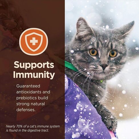 Wellnes CORE طعام القطط الرطب الطبيعي الخالي من الحبوب لصحة الجهاز الهضمي، المعدة الحساسة، سهل الهضم (حزمة متنوعة من سمك السلمون/السمك الأبيض، علبة 3 أونصة، 12 عبوة) in Kuwait