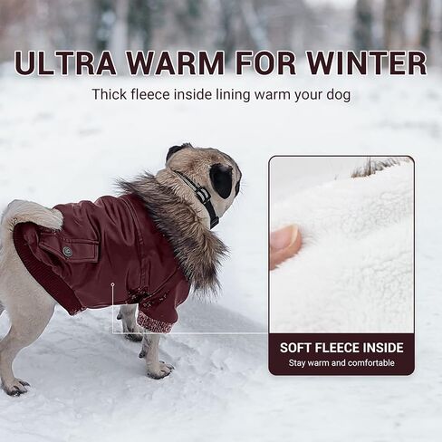 LESYPET Warm Dog Jacket Winter Dog Coats Windproof Waterproof Fleece Lined Dog Leather Jackets for Small Dogs Puppy, Black Small in Saudi Arabia