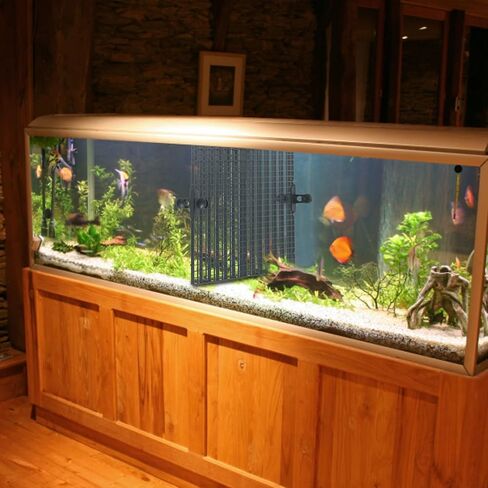 JIAHMOIUG 10 Pcs Aquarium Fish Tank Dividers Plastic Black Egg Crate Light Diffuser Bottom Tray Grid Isolation Board Fish Tank Filter Separator with 20 Pcs Aquarium Divider Clips,Black in Kuwait