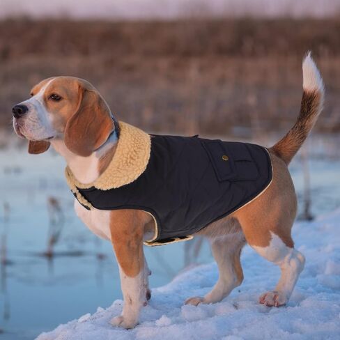 Queenmore Warm Puffer Dog Jacket Thick Plush Lining Winter Small Dog Coat in Kuwait