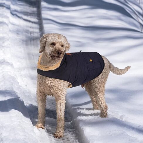 Queenmore Warm Puffer Dog Jacket Thick Plush Lining Winter Small Dog Coat in Kuwait