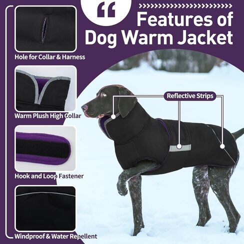 denterun عكسها الشتاء الدافئة الكلب سترة عاكسة يندبروف دافئ الطقس البارد جرو معطف طارد المياه سترة سميكة الصوف الملابس مع تسخير / المقود ثقب لX-كبيرة الكلاب سنوسويت، الأحمر in Kuwait