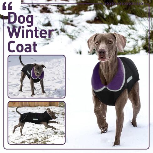 denterun عكسها الشتاء الدافئة الكلب سترة عاكسة يندبروف دافئ الطقس البارد جرو معطف طارد المياه سترة سميكة الصوف الملابس مع تسخير / المقود ثقب لX-كبيرة الكلاب سنوسويت، الأحمر in Kuwait