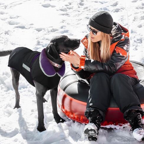 denterun عكسها الشتاء الدافئة الكلب سترة عاكسة يندبروف دافئ الطقس البارد جرو معطف طارد المياه سترة سميكة الصوف الملابس مع تسخير / المقود ثقب لX-كبيرة الكلاب سنوسويت، الأحمر in Kuwait