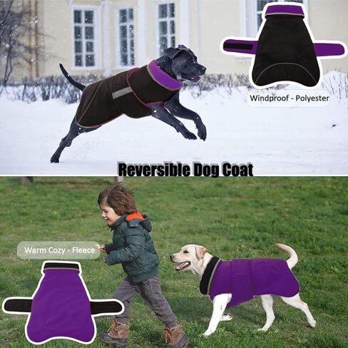 denterun عكسها الشتاء الدافئة الكلب سترة عاكسة يندبروف دافئ الطقس البارد جرو معطف طارد المياه سترة سميكة الصوف الملابس مع تسخير / المقود ثقب لX-كبيرة الكلاب سنوسويت، الأحمر in Kuwait