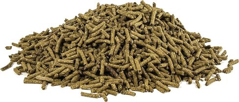 UltraCruz Equine Magnesium Plus, 10 lb (sc-550687) in Kuwait