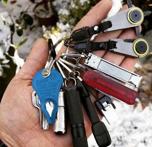 The Original Tick Key -Tick Detaching Device - Portable, Safe and Highly Effective Tick Detaching Tool - 3 Pack (Earth) in Saudi Arabia