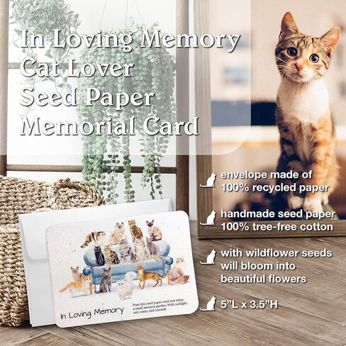 تذكاري بيت الهدايا التذكارية قوس قزح جسر القط الملاك التذكاري مع اليدوية في الذاكرة المحبة القط البرية ورقة بذور أوراق التعاطف للقطط التي تمر هدايا فقدان الحيوانات الأليفة in Kuwait