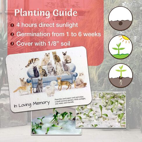 تذكاري بيت الهدايا التذكارية قوس قزح جسر القط الملاك التذكاري مع اليدوية في الذاكرة المحبة القط البرية ورقة بذور أوراق التعاطف للقطط التي تمر هدايا فقدان الحيوانات الأليفة in Kuwait