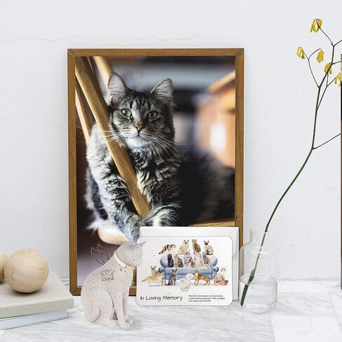 تذكاري بيت الهدايا التذكارية قوس قزح جسر القط الملاك التذكاري مع اليدوية في الذاكرة المحبة القط البرية ورقة بذور أوراق التعاطف للقطط التي تمر هدايا فقدان الحيوانات الأليفة in Kuwait