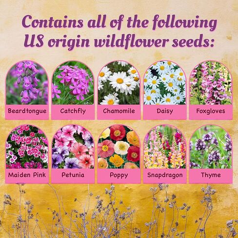 تذكاري بيت الهدايا التذكارية قوس قزح جسر القط الملاك التذكاري مع اليدوية في الذاكرة المحبة القط البرية ورقة بذور أوراق التعاطف للقطط التي تمر هدايا فقدان الحيوانات الأليفة in Kuwait