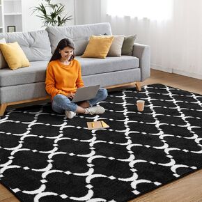 Runner Rugs for Bedroom Living Room 2X6 Black Shag Area Rug Machine Washable Soft Fluffy Carpet, Non Slip Memory Foam Rug for Bedside Hallway Nursery Kids Boys Girls Room Home Decor