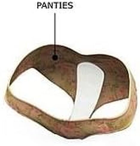 ذا كلين سيت عبوة من 28 قطعة بتغطية كاملة وغير معطرة للرجال والنساء in Kuwait