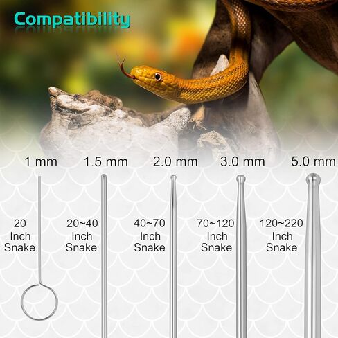 انتي ديوس مجموعة مجسات ثعبان، مجسات جنس الثعبان مع طرف دائري ومعدن لا يسبب الحساسية بشكل طبيعي، أداة مجسات جنس الثعبان تتيح لك معرفة ما إذا كان الثعبان ولد أو فتاة. in Kuwait