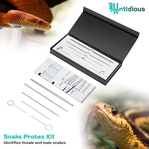 انتي ديوس مجموعة مجسات ثعبان، مجسات جنس الثعبان مع طرف دائري ومعدن لا يسبب الحساسية بشكل طبيعي، أداة مجسات جنس الثعبان تتيح لك معرفة ما إذا كان الثعبان ولد أو فتاة. in Kuwait