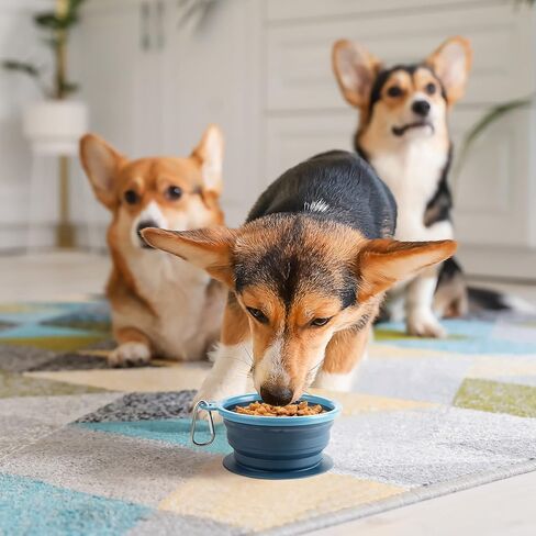 Collapsible Dog Bowl with Non Skid Suction Base -100% Pure Silicone Foldable Water Bowl, Portable Dog Bowl for Travel, Hiking & Camping 350mL 1 Piece in Kuwait