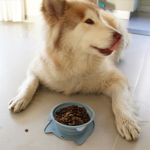 2-in-1 Collapsible Silicone Dog Travel Bowls, Slot Together and Use Separately, Portable Pet Food Water Bowls, Foldable Cat Feeding Watering Dishes, 20OZ+27OZ(Purple) in Kuwait