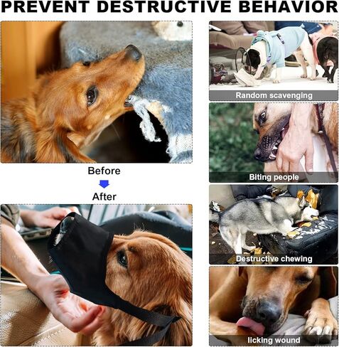 مجموعة الإسعافات الأولية للحيوانات الأليفة من GPUSFAK للكلاب والقطط - مجموعة طوارئ للحيوانات الأليفة مع فرش العناية وقفازات مستلزمات الإسعافات الأولية للمنزل والتخييم والمشي لمسافات طويلة والسفر والصيد والرياضة in Kuwait