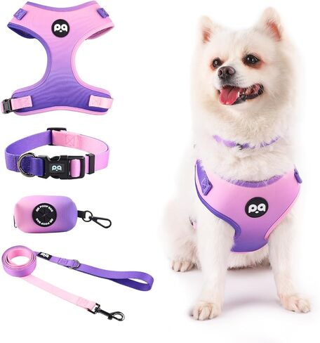 Dog Harness Collar Leash Combo,No Pull Adjustable Vest Cute for Small Puppy Medium Girl/Boy Pets with Poop Bag Holder(Small,Black) in Kuwait