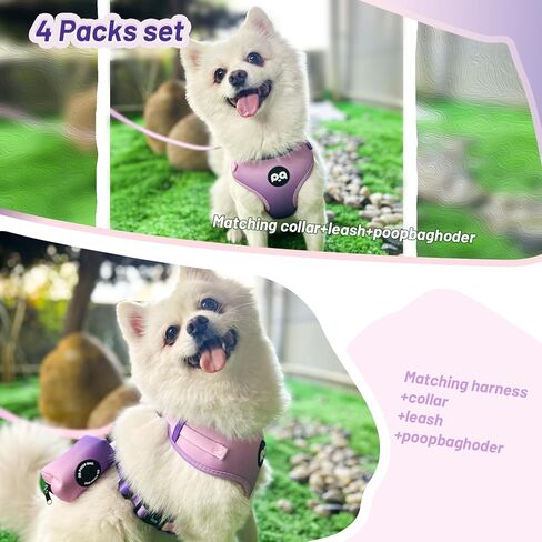 Dog Harness Collar Leash Combo,No Pull Adjustable Vest Cute for Small Puppy Medium Girl/Boy Pets with Poop Bag Holder(Small,Black) in Kuwait