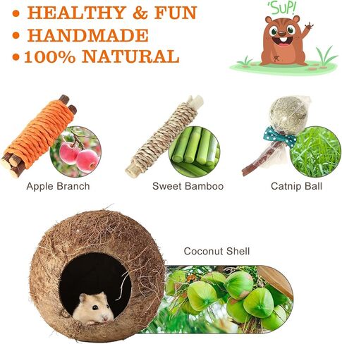 HWONMTE Hamster Coconut House and Hideout Bed Hamsters Chew Toys Gerbils Mice Rat Chinchillas Exercise Accessories for Small Animal Chewing and Teeth Care (4 Pack) in Kuwait