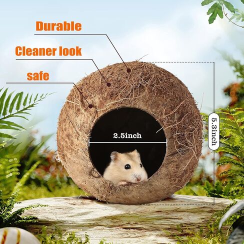 HWONMTE Hamster Coconut House and Hideout Bed Hamsters Chew Toys Gerbils Mice Rat Chinchillas Exercise Accessories for Small Animal Chewing and Teeth Care (4 Pack) in Kuwait