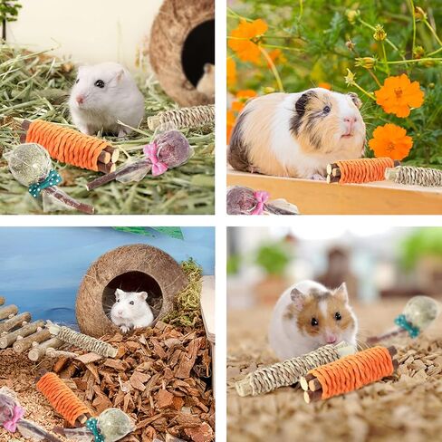 HWONMTE Hamster Coconut House and Hideout Bed Hamsters Chew Toys Gerbils Mice Rat Chinchillas Exercise Accessories for Small Animal Chewing and Teeth Care (4 Pack) in Kuwait