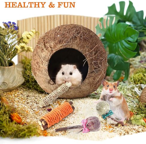 HWONMTE Hamster Coconut House and Hideout Bed Hamsters Chew Toys Gerbils Mice Rat Chinchillas Exercise Accessories for Small Animal Chewing and Teeth Care (4 Pack) in Kuwait