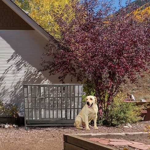 Confote 37 "الثقيلة الفولاذ المقاوم للصدأ قفص بيت الكلب قفص وروضة لتدريب الكلاب الصغيرة في الأماكن المغلقة في الهواء الطلق مع أبواب مزدوجة وأقفال التصميم وشملت عجلات قابلة للقفل صينية قابلة للإزالة لا المسمار in Kuwait