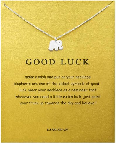 LANG XUAN Friendship Compass Necklace Good Luck Butterfly Pendant Chain Necklace with Message Card Gift Card for Women in Kuwait