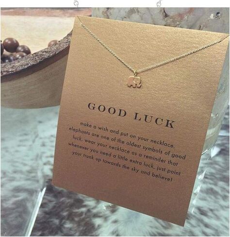 LANG XUAN Friendship Compass Necklace Good Luck Butterfly Pendant Chain Necklace with Message Card Gift Card for Women in Kuwait