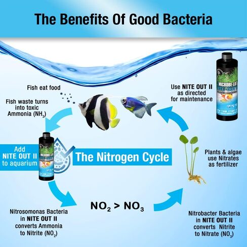 MICROBE-LIFT NITEH64 Nite-Out II منظف حوض السمك وخزان الأسماك من أجل تقليل الأمونيا والنتريت السريع، والمياه العذبة والمياه المالحة، 64 أونصة in Kuwait