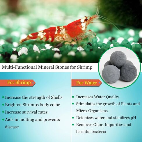 كرات SunGrow Shrimp Tourmaline لحوض السمك، كرات غنية بالكالسيوم 0.4 بوصة، ملحقات خزان الروبيان، تساقط ناجح، إضفاء الحيوية، 20 كرة في كل عبوة in Kuwait