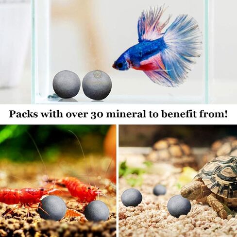 كرات SunGrow Shrimp Tourmaline لحوض السمك، كرات غنية بالكالسيوم 0.4 بوصة، ملحقات خزان الروبيان، تساقط ناجح، إضفاء الحيوية، 20 كرة في كل عبوة in Kuwait