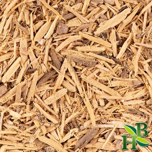 Herb To Body Muira Puama C/S (Cut and Sifted) | Ptychopetalum Olacoides| | Wildcrafted | 4oz in Saudi Arabia