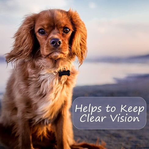 أمشاط تنظيف وإزالة البقع للكلاب من أوترلي بيتس لإزالة الأوساخ ومخاط العيون وقشرة العين بلطف (عبوة من قطعتين) in Kuwait