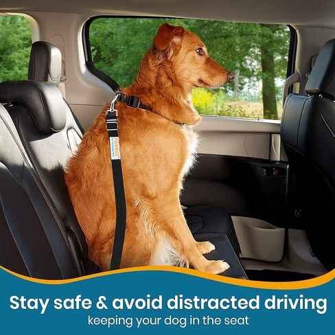 PAWBEE Dog Seat Belt for Car - 2 Pack Dog Car Harness - Adjustable Dog Seatbelt Harness - Durable Nylon Dog Seat Belt Harness - Dog Car Seat Belt with Stainless Hook & Clip - Safety Seat Belt for Dogs in Kuwait