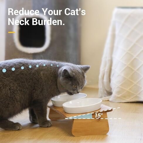 MSBC Raised Cat Bowl with Bamboo Stand, Elevated Pet Feeder with 2 Melamine Bowls, Tilted Food and Water Cat Feeding Dish, Protect Pet's Spine, Whisker Stress Free Anti Vomiting, White in Kuwait