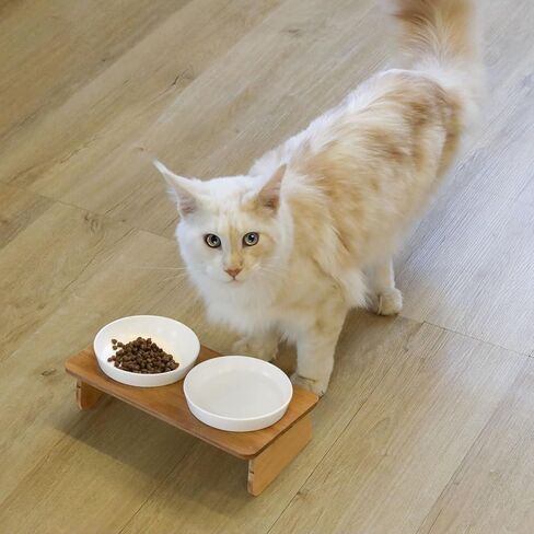 MSBC Raised Cat Bowl with Bamboo Stand, Elevated Pet Feeder with 2 Melamine Bowls, Tilted Food and Water Cat Feeding Dish, Protect Pet's Spine, Whisker Stress Free Anti Vomiting, White in Kuwait